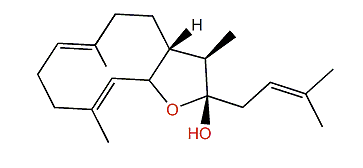 Asperketal A